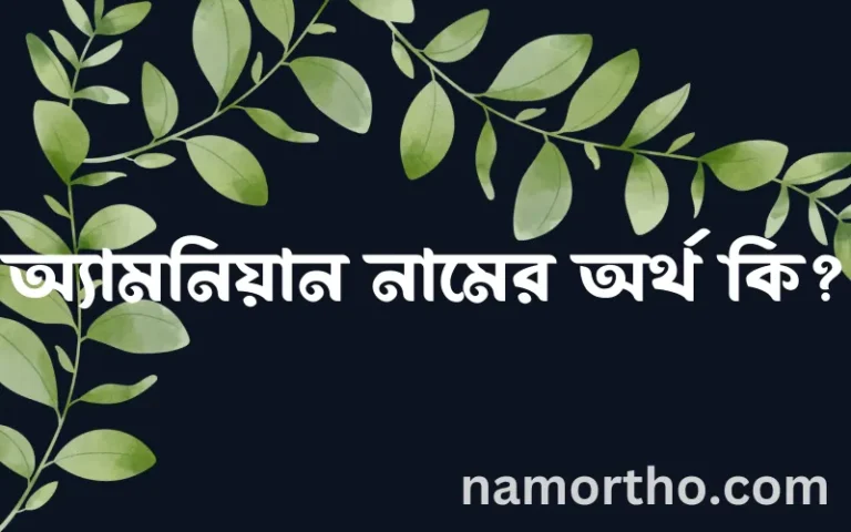 অ্যামনিয়ান নামের অর্থ কি? ইসলামিক আরবি বাংলা অর্থ