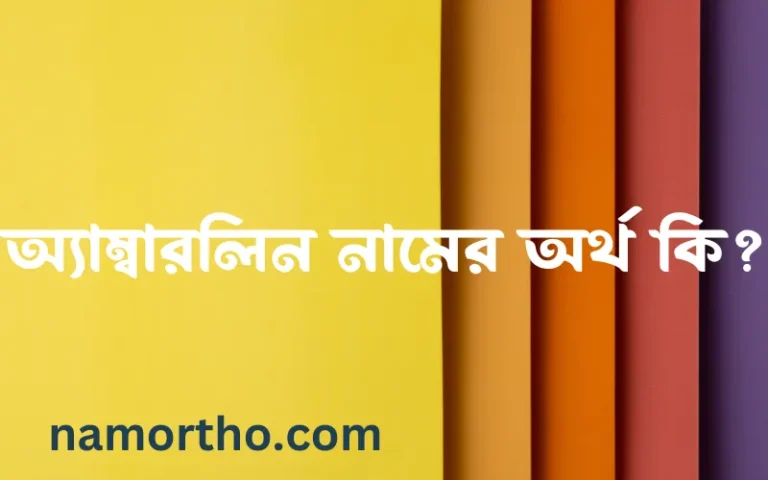 অ্যাম্বারলিন নামের অর্থ কি, বাংলা ইসলামিক এবং আরবি অর্থ?