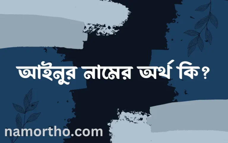 আইনুর নামের অর্থ কি এবং ইসলাম কি বলে? (বিস্তারিত)