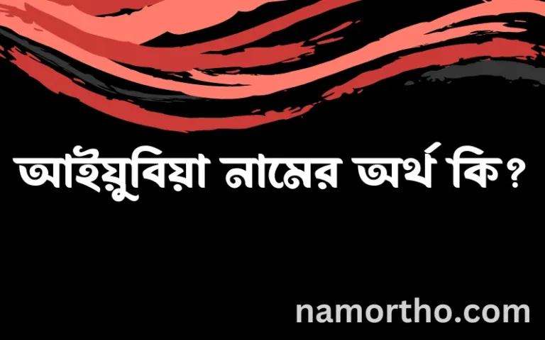 আইয়ুবিয়া নামের অর্থ কি, বাংলা ইসলামিক এবং আরবি অর্থ?