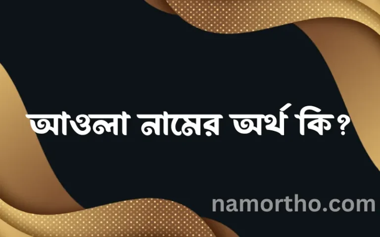 আওলা নামের অর্থ কি এবং ইসলাম কি বলে? (বিস্তারিত)