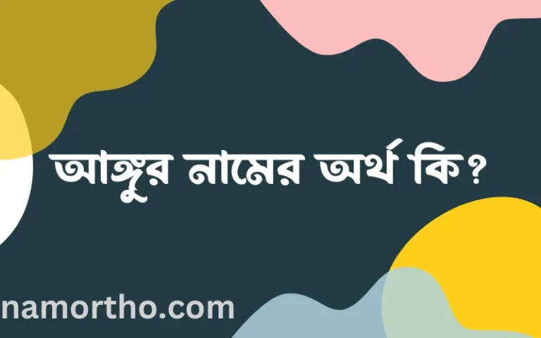 আঙ্গুর নামের অর্থ কি? ইসলামিক আরবি বাংলা অর্থ