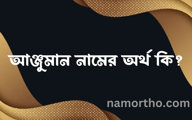 আঞ্জুমান নামের আর্থ কি?
