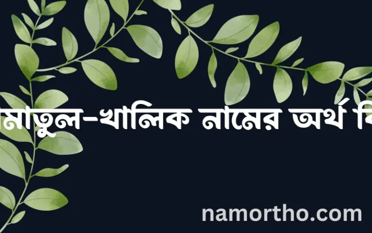 আমাতুল-খালিক নামের অর্থ কি, ইসলামিক আরবি এবং বাংলা অর্থ জানুন
