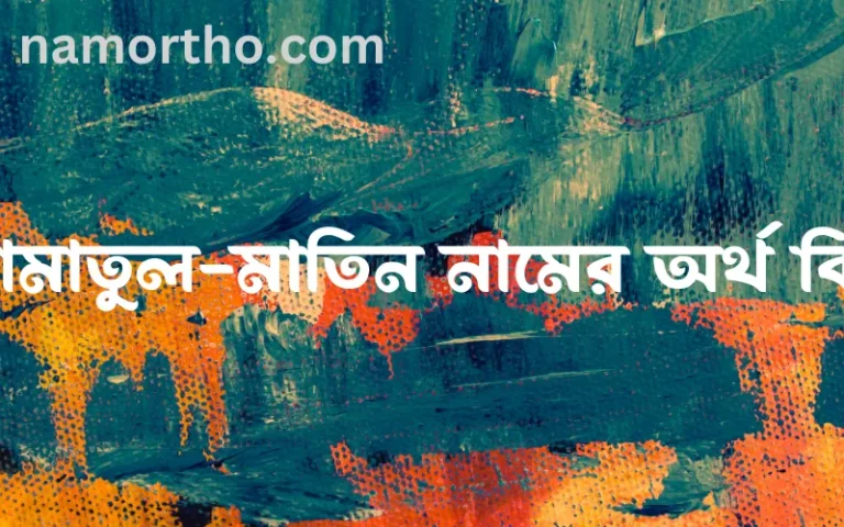 আমাতুল-মাতিন নামের অর্থ কি? আমাতুল-মাতিন নামের বাংলা, আরবি/ইসলামিক অর্থসমূহ