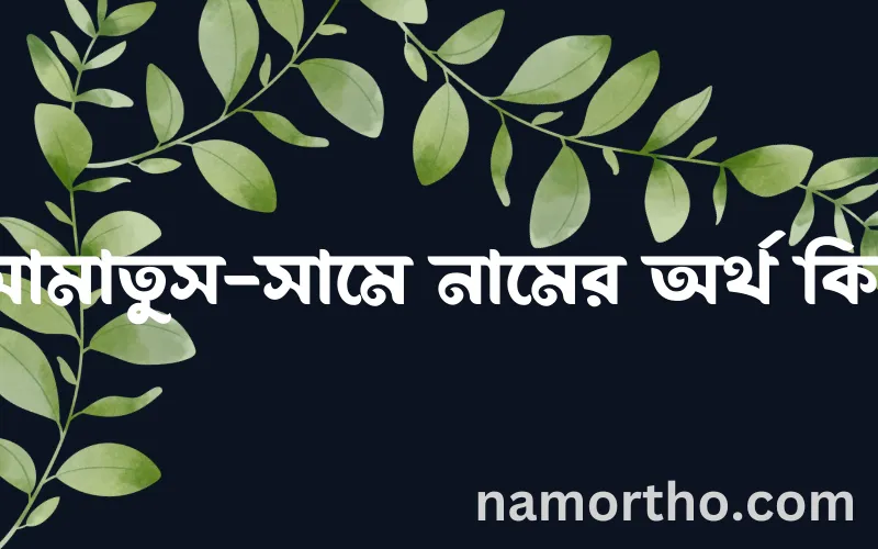 আমাতুস-সামে নামের আর্থ কি?
