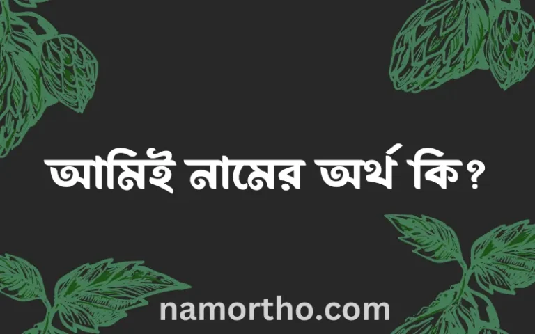 আমিই নামের অর্থ কি? ইসলামিক আরবি বাংলা অর্থ