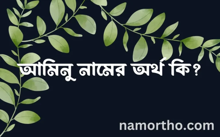 আমিনু নামের অর্থ কি? আমিনু নামের ইসলামিক অর্থ এবং বিস্তারিত তথ্য সমূহ