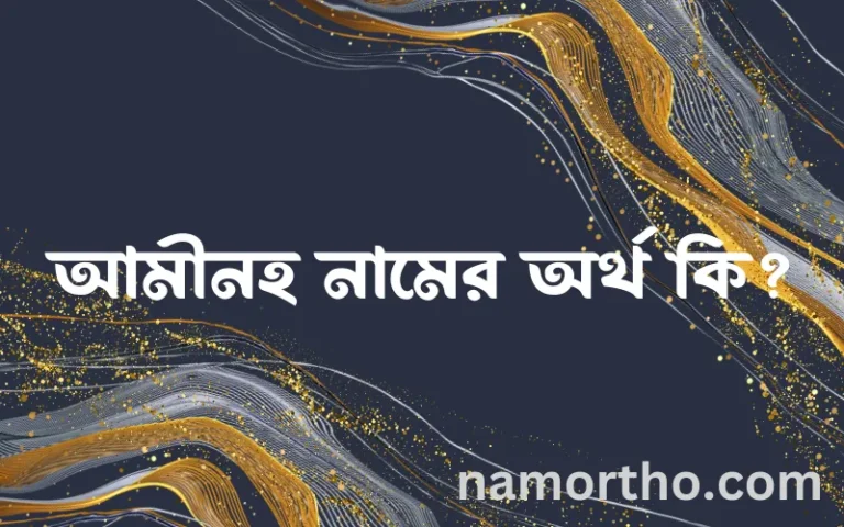 আমীনহ নামের অর্থ কি? ইসলামিক আরবি বাংলা অর্থ এবং নামের তাৎপর্য