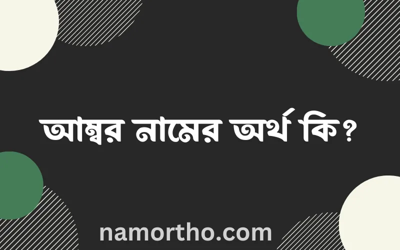 আম্বর নামের আর্থ কি?