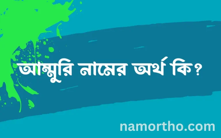 আম্মুরি নামের অর্থ কি এবং ইসলাম কি বলে? (বিস্তারিত)