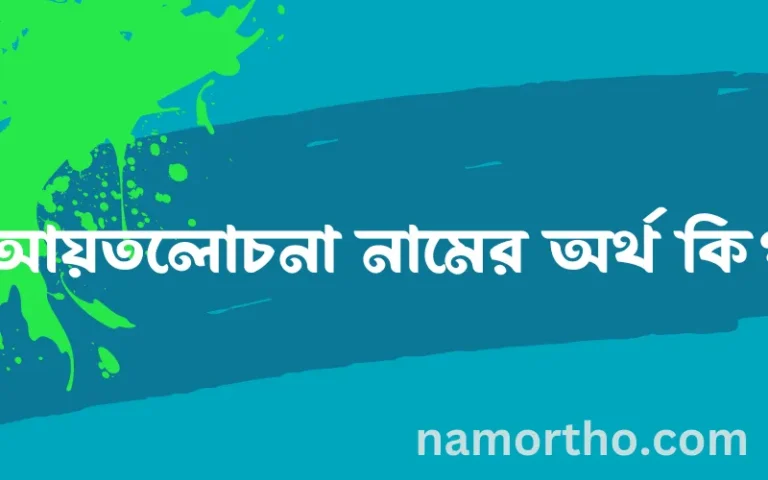 আয়তলোচনা নামের অর্থ কি? ইসলামিক আরবি বাংলা অর্থ এবং নামের তাৎপর্য