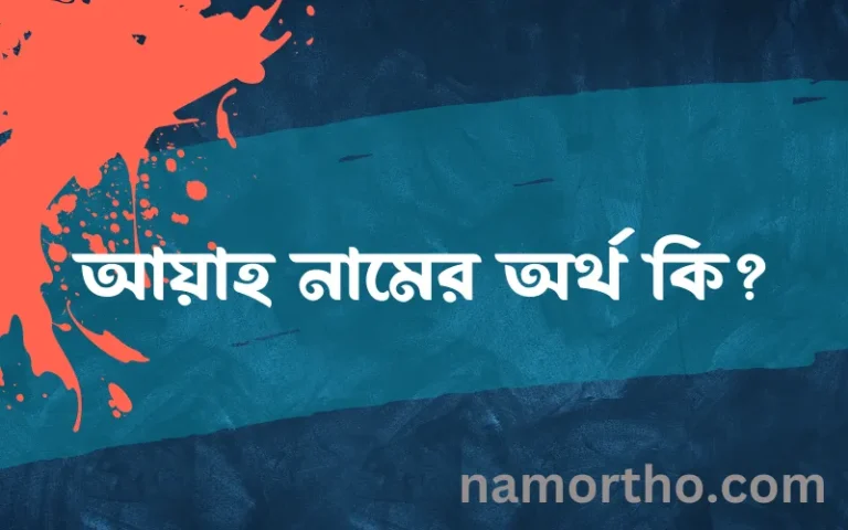 আয়াহ নামের অর্থ কি? (ব্যাখ্যা ও বিশ্লেষণ) জানুন