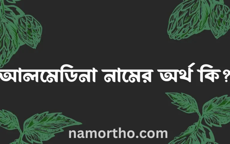 আলমেডিনা নামের অর্থ কি? আলমেডিনা নামের বাংলা, আরবি/ইসলামিক অর্থসমূহ
