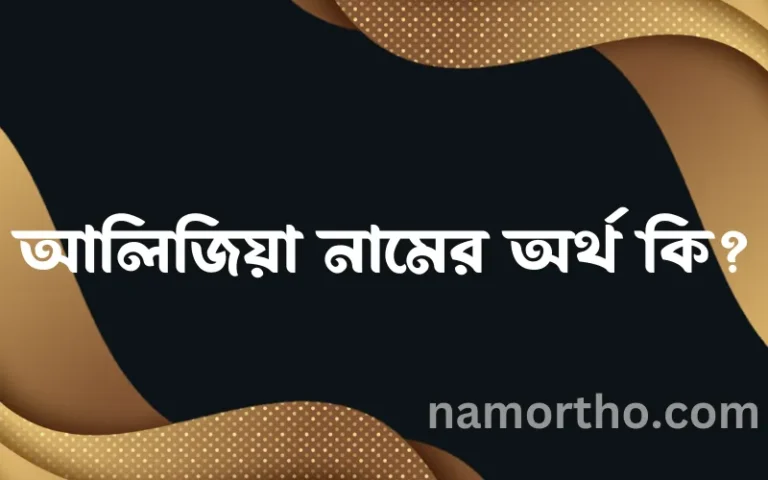 আলিজিয়া নামের বাংলা আরবি ইসলামিক অর্থ কি?