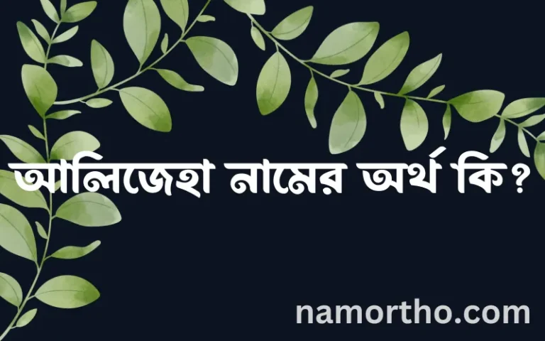 আলিজেহা নামের বাংলা আরবি ইসলামিক অর্থ কি?