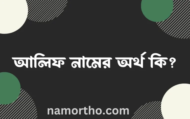 আলিফ নামের অর্থ কি? আলিফ নামের বাংলা, আরবি/ইসলামিক অর্থসমূহ