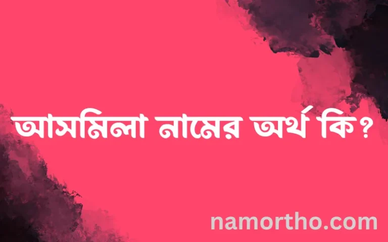 আসমিলা নামের অর্থ কি এবং ইসলাম কি বলে? (বিস্তারিত)