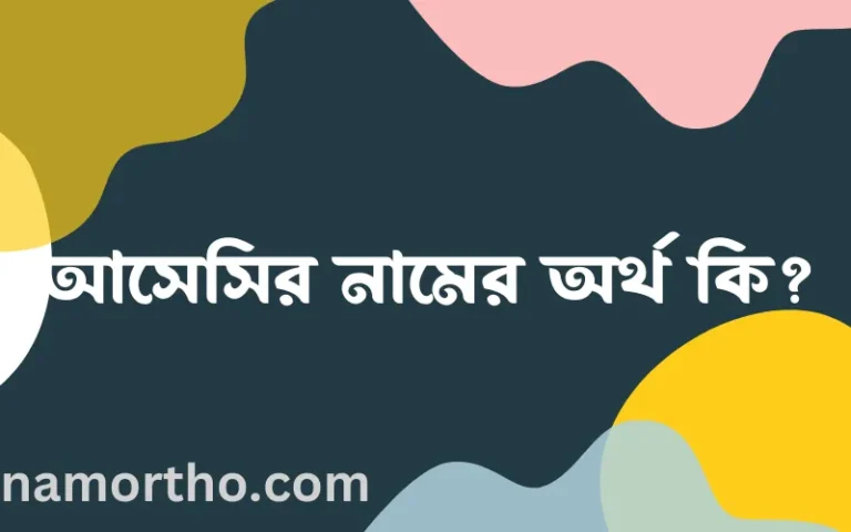 আসেসির নামের অর্থ কি এবং ইসলাম কি বলে? (বিস্তারিত)