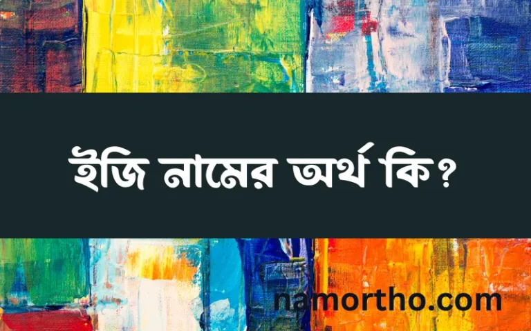 ইজি নামের অর্থ কি? (ব্যাখ্যা ও বিশ্লেষণ) জানুন