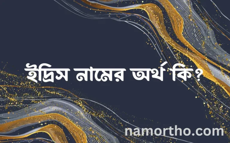 ইদ্রিস নামের বাংলা আরবি ইসলামিক অর্থ কি?