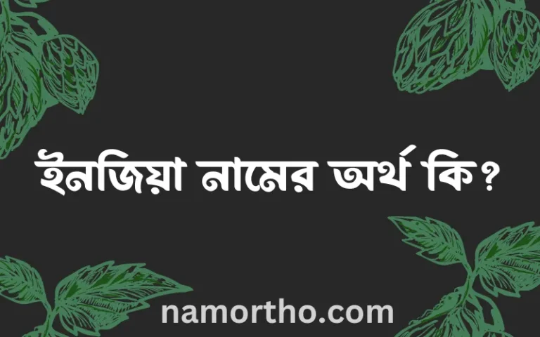 ইনজিয়া নামের অর্থ কি? ইসলামিক আরবি বাংলা অর্থ এবং নামের তাৎপর্য