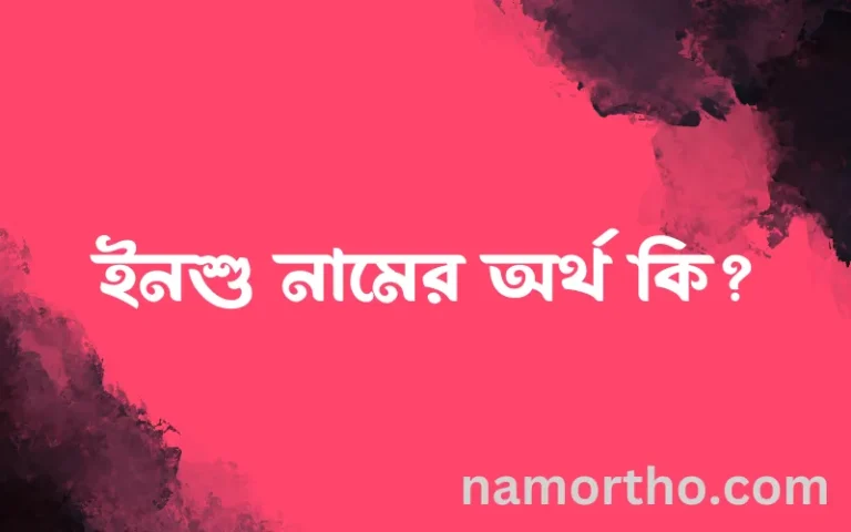ইনশু নামের অর্থ কি? ইনশু নামের ইসলামিক অর্থ এবং বিস্তারিত তথ্য সমূহ