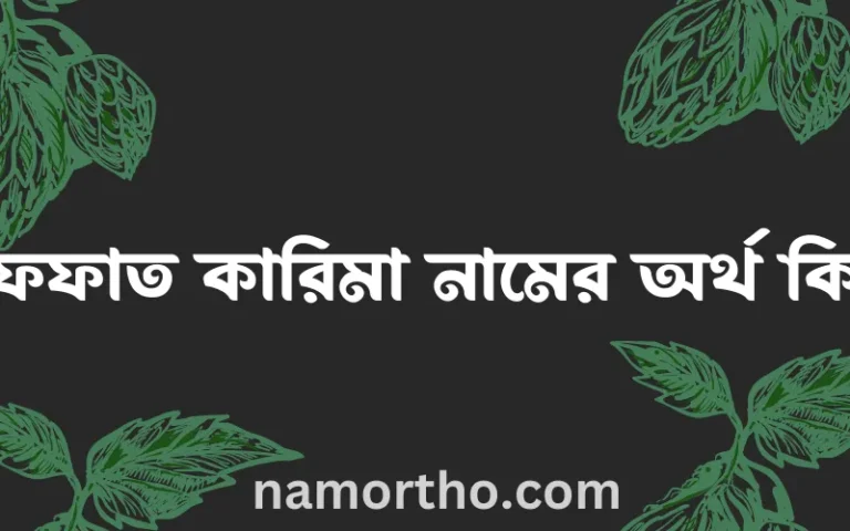 ইফফাত কারিমা নামের অর্থ কি? ইফফাত কারিমা নামের বাংলা, আরবি/ইসলামিক অর্থসমূহ
