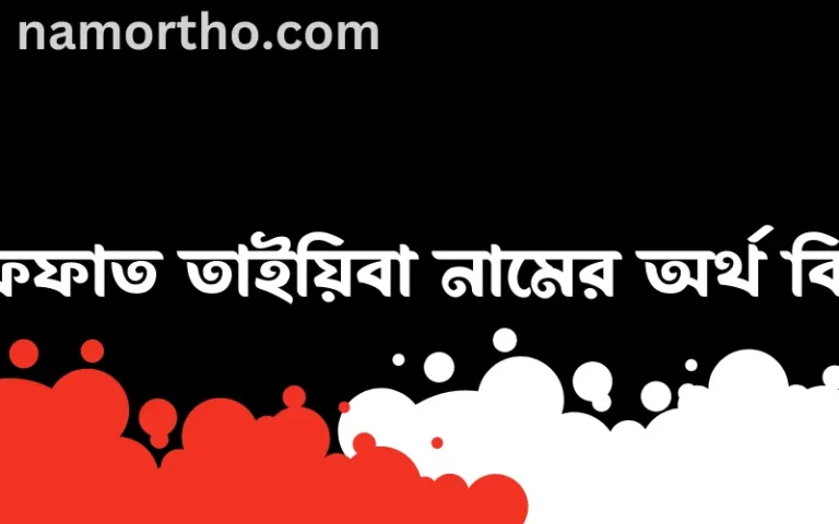 ইফফাত তাইয়িবা নামের অর্থ কি এবং ইসলাম কি বলে? (বিস্তারিত)