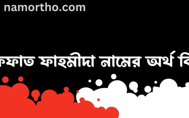 ইফফাত ফাহমীদা নামের অর্থ কি এবং ইসলাম কি বলে? (বিস্তারিত)