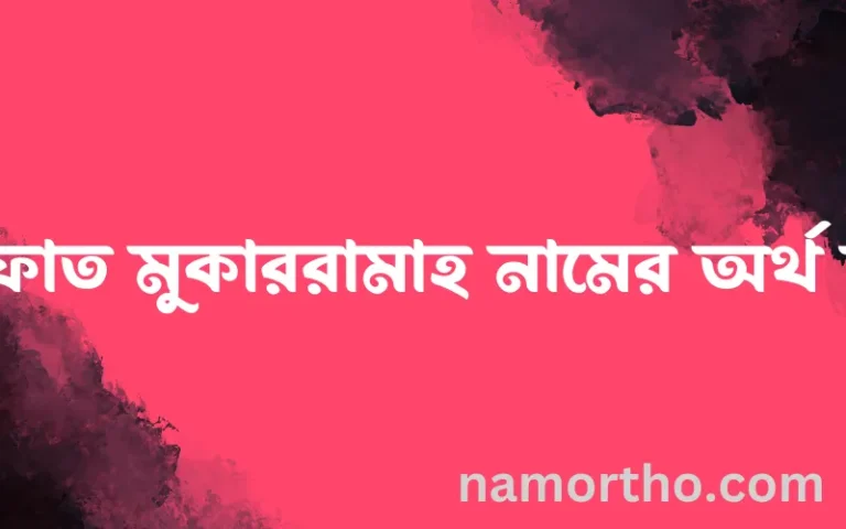 ইফফাত মুকাররামাহ নামের অর্থ কি? ইফফাত মুকাররামাহ নামের বাংলা, আরবি/ইসলামিক অর্থসমূহ