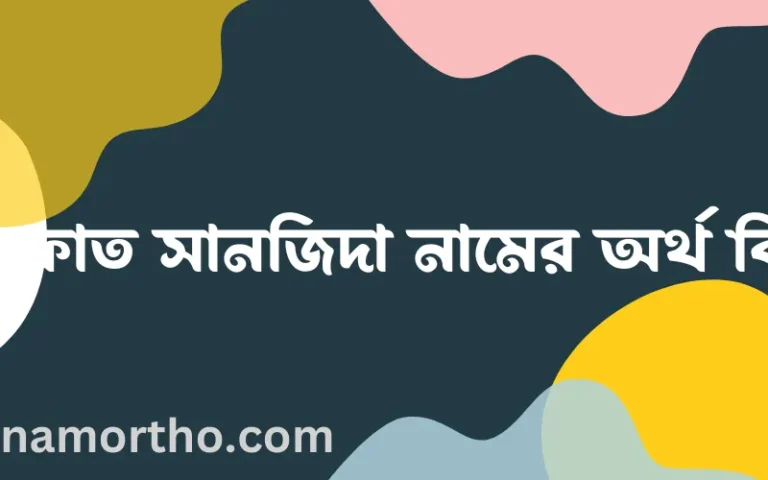 ইফফাত সানজিদা নামের অর্থ কি? ইসলামিক আরবি বাংলা অর্থ