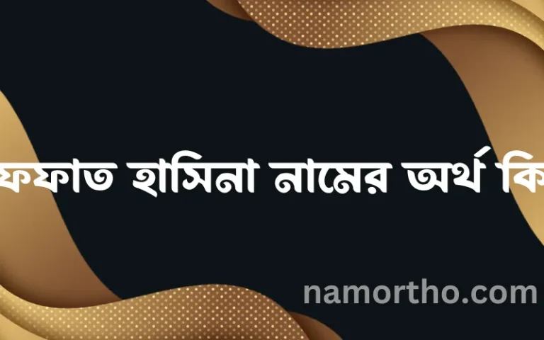 ইফফাত হাসিনা নামের অর্থ কি, বাংলা ইসলামিক এবং আরবি অর্থ?