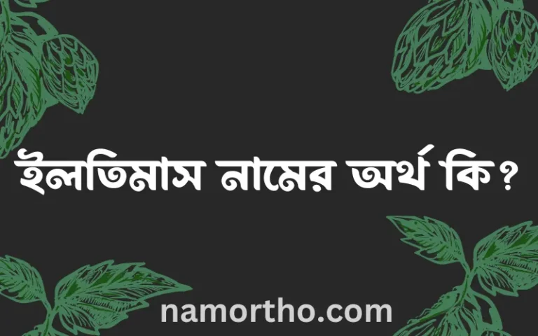 ইলতিমাস নামের অর্থ কি? ইলতিমাস নামের বাংলা, আরবি/ইসলামিক অর্থসমূহ