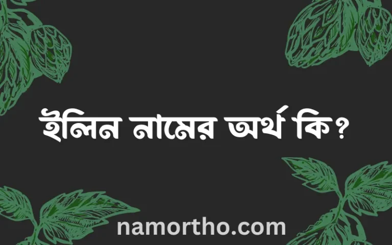 ইলিন নামের অর্থ কি, ইসলামিক আরবি এবং বাংলা অর্থ জানুন