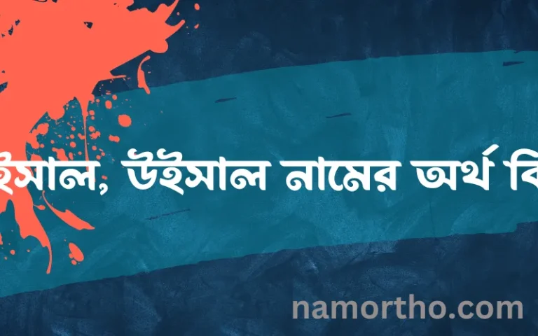 উইসাল, উইসাল নামের বাংলা আরবি ইসলামিক অর্থ কি?