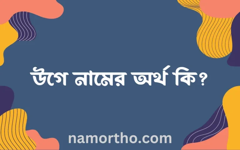 উগে নামের অর্থ কি? ইসলামিক আরবি বাংলা অর্থ এবং নামের তাৎপর্য