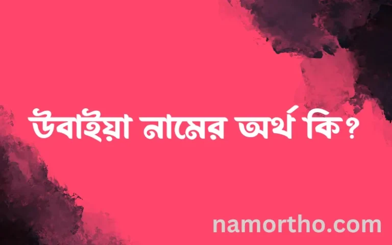 উবাইয়া নামের অর্থ কি? ইসলামিক আরবি বাংলা অর্থ এবং নামের তাৎপর্য