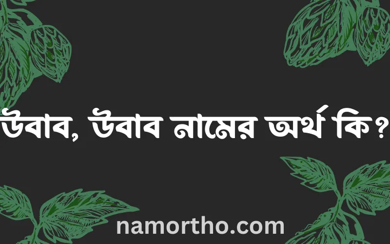 উবাব, উবাব নামের আর্থ কি?
