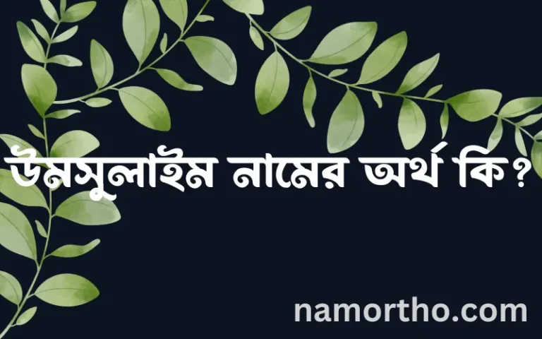 উমসুলাইম নামের অর্থ কি? উমসুলাইম নামের বাংলা, আরবি/ইসলামিক অর্থসমূহ