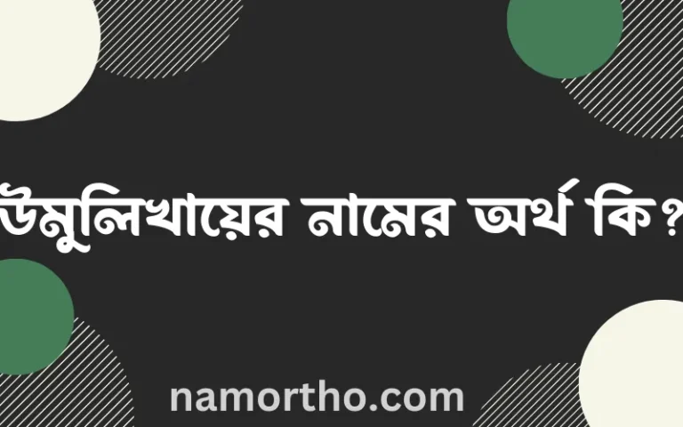 উমুলিখায়ের নামের অর্থ কি? ইসলামিক আরবি বাংলা অর্থ