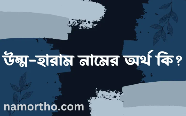 উম্ম-হারাম নামের অর্থ কি, বাংলা ইসলামিক এবং আরবি অর্থ?