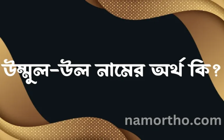উম্মুল-উল নামের অর্থ কি? উম্মুল-উল নামের বাংলা, আরবি/ইসলামিক অর্থসমূহ