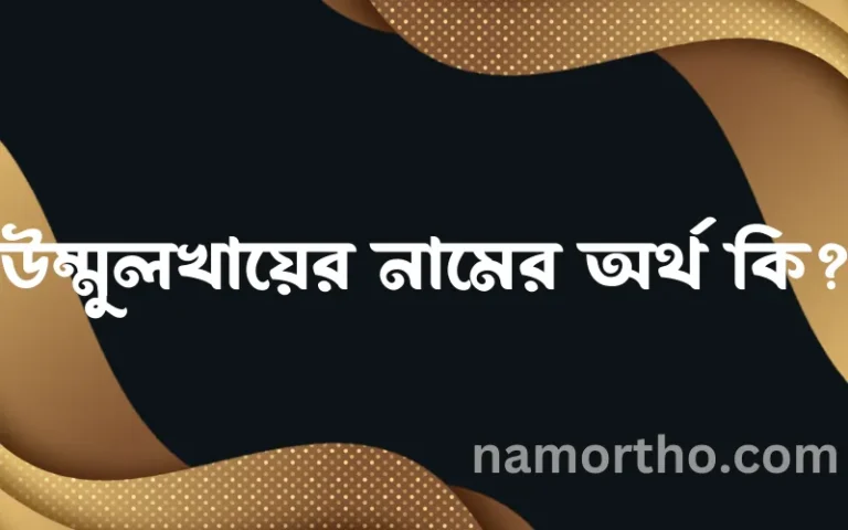 উম্মুলখায়ের নামের অর্থ কি? ইসলামিক আরবি বাংলা অর্থ