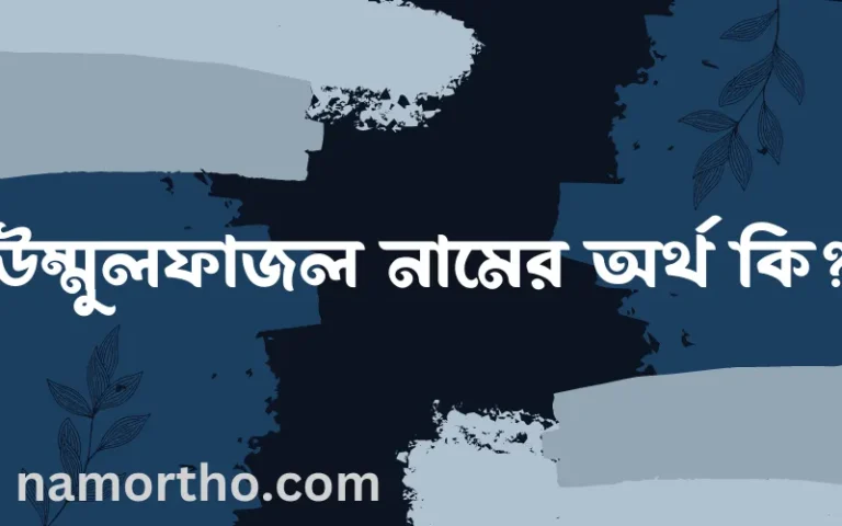 উম্মুলফাজল নামের অর্থ কি? ইসলামিক আরবি বাংলা অর্থ এবং নামের তাৎপর্য