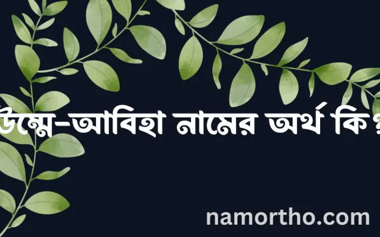 উম্মে-আবিহা নামের অর্থ কি? ইসলামিক আরবি বাংলা অর্থ এবং নামের তাৎপর্য