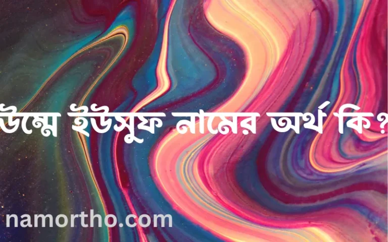 উম্মে ইউসুফ নামের অর্থ কি? (ব্যাখ্যা ও বিশ্লেষণ) জানুন