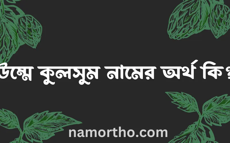 উম্মে কুলসুম নামের আর্থ কি?