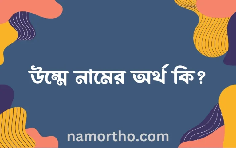 উম্মে নামের অর্থ কি, বাংলা ইসলামিক এবং আরবি অর্থ?