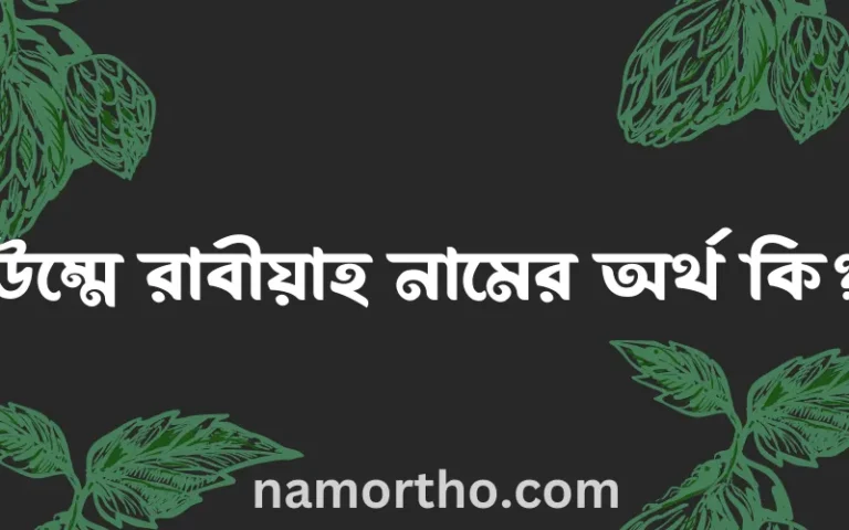 উম্মে রাবীয়াহ নামের অর্থ কি? উম্মে রাবীয়াহ নামের বাংলা, আরবি/ইসলামিক অর্থসমূহ